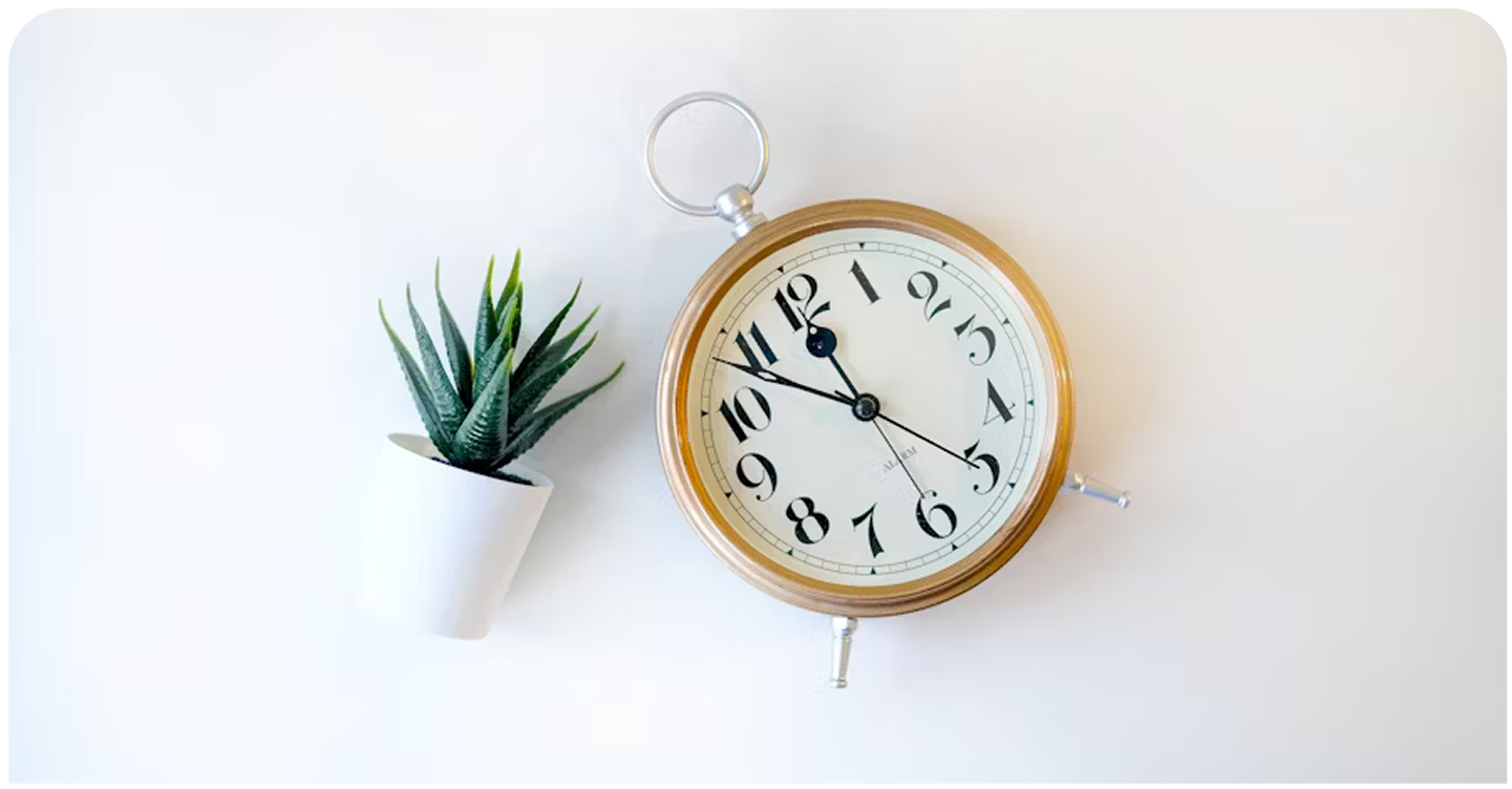 White surface with a small plant and an antique alarm clock for efficient deadline tracking.